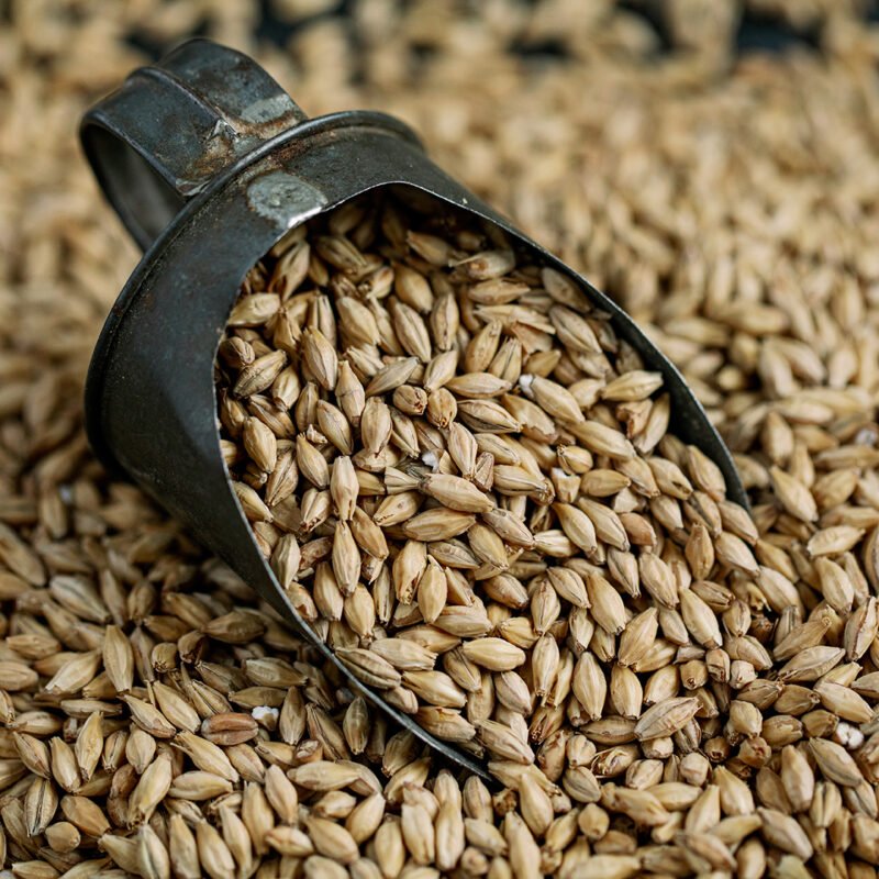 Stone Path Malt